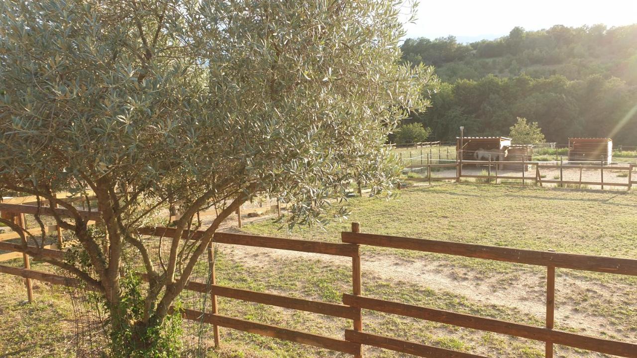 Bed and Breakfast Chambre D'Hotes Le Petit Ranch Los Masos Exterior foto