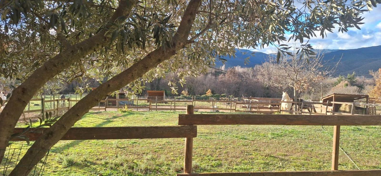 Bed and Breakfast Chambre D'Hotes Le Petit Ranch Los Masos Exterior foto